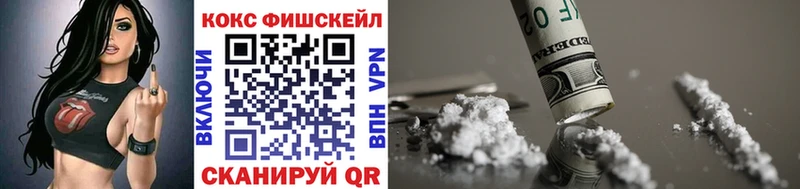 Купить где Судак Cocaine Fish Scale