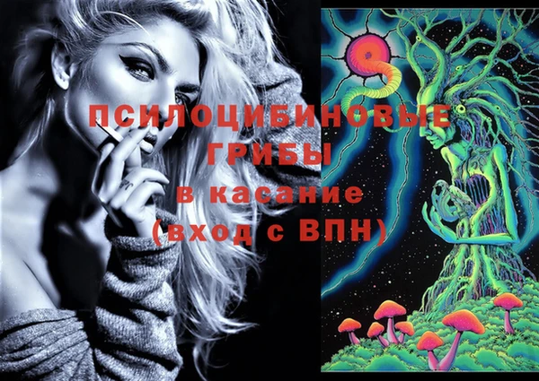 PSILOCYBIN Богданович