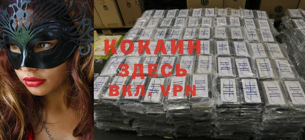 PSILOCYBIN Богданович