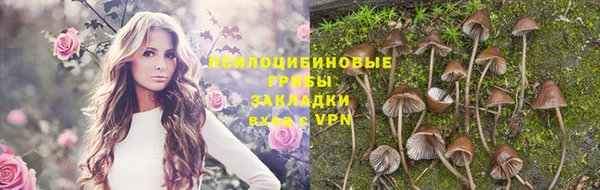 PSILOCYBIN Богданович