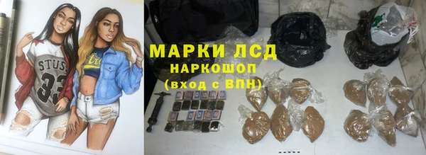 PSILOCYBIN Богданович