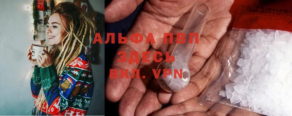PSILOCYBIN Богданович