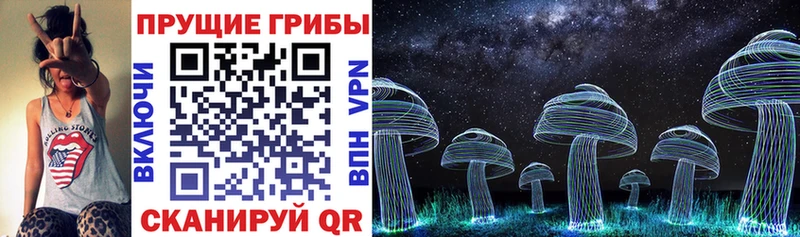 Псилоцибиновые грибы Cubensis  Купить где  Судак 