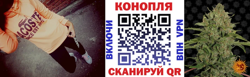 Марихуана индика  Купить где  Судак 
